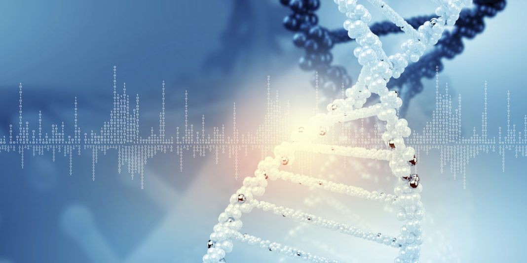 tapas for epigenetica